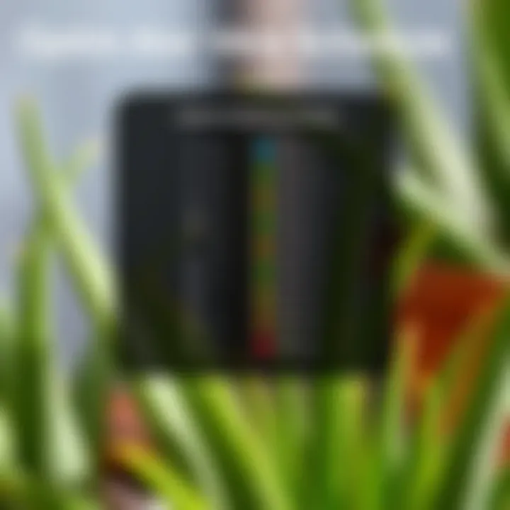 Optimal Watering Schedule for Aloe Vera An infographic illustrating optimal watering schedule for Aloe Vera