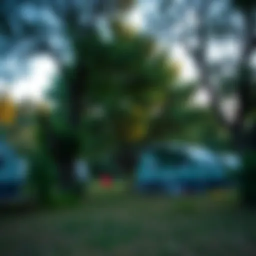 A serene view of a lush campsite surrounded by trees in Antalya