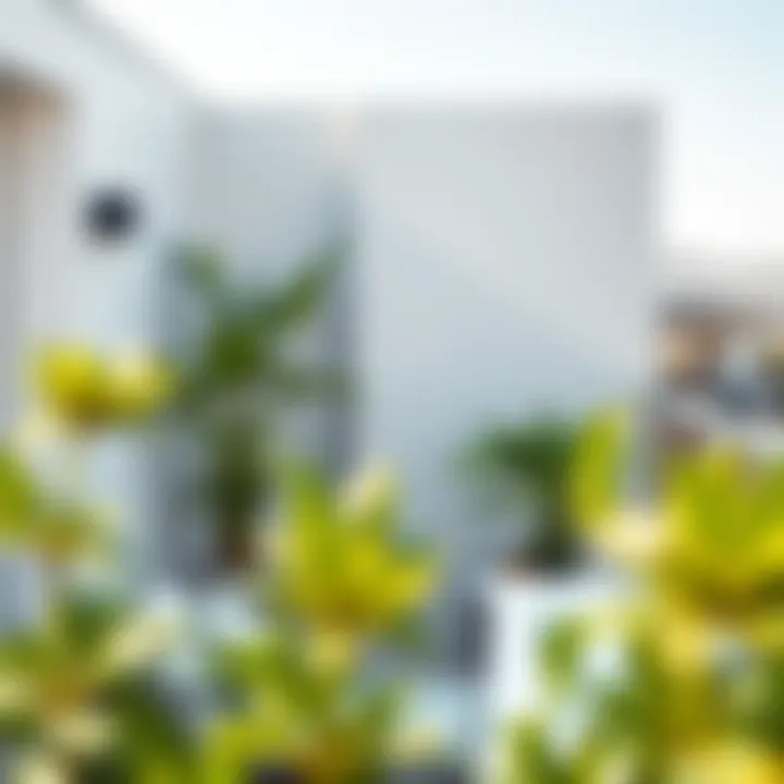 Modern balcony layout with minimalist design elements