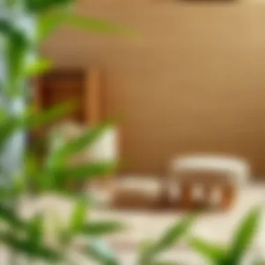 Cleaning bamboo rugs with natural solutions