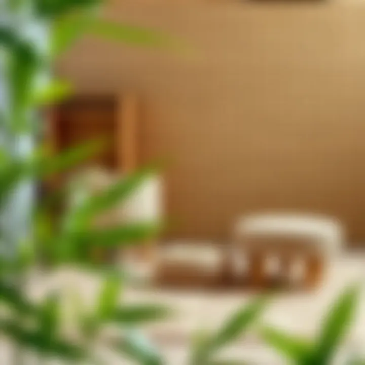 Cleaning bamboo rugs with natural solutions