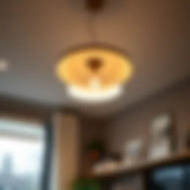 Step-by-step visual guide to installing suspended ceiling lights