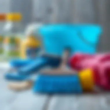 Tools and materials for silicone cleaning