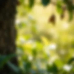 Harmonious blend of brown and green colors in nature