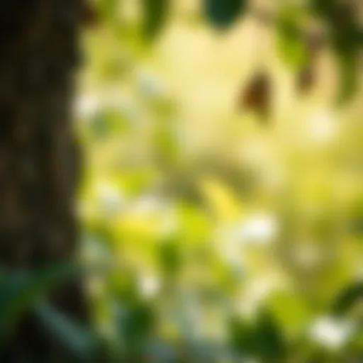 Harmonious blend of brown and green colors in nature