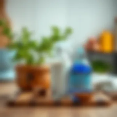 Natural cleaning supplies for refrigerator care