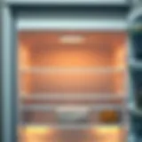 A pristine refrigerator exterior after cleaning