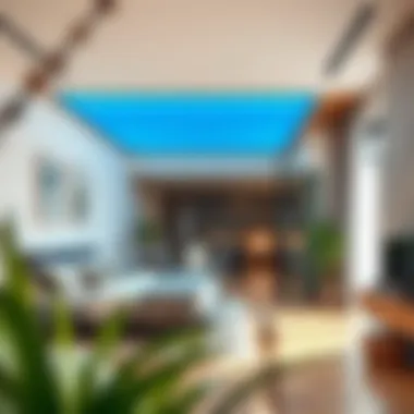 Stylish Cama Monte Jaluzi installation in a contemporary home