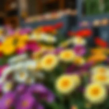 A vibrant display of rejuvenated flowers showcasing their new life