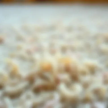 A close-up of carpet fibers being cleaned