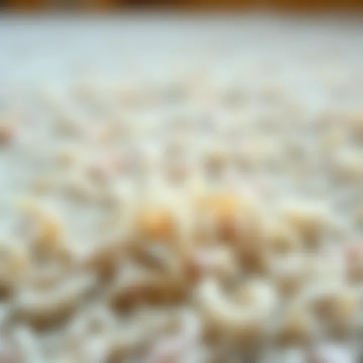 A close-up of carpet fibers being cleaned