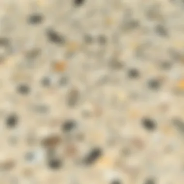 Close-up of realistic wood texture on granite surface