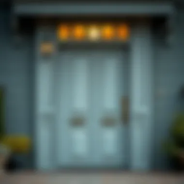 Aesthetic appeal of different iron door colors