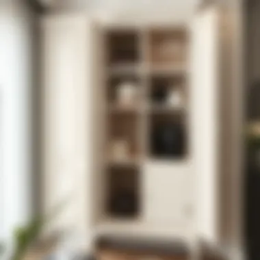 Elegant Design Elements in Cabinet Stylish cabinet with elegant design elements