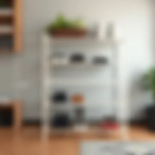 Detailed shoe rack measurements illustration