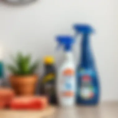 Essential cleaning supplies for walls
