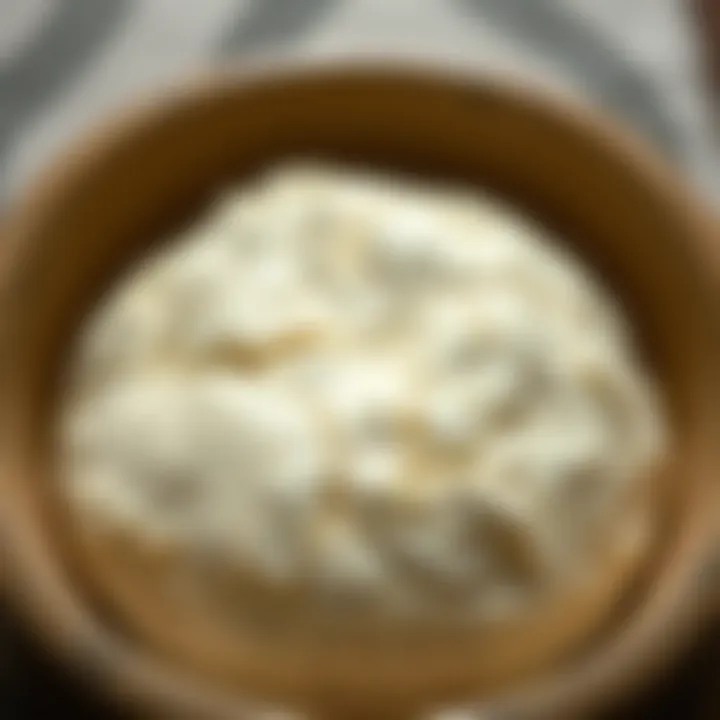 A close-up of bread dough rising in a bowl
