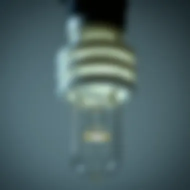 Close-up view of a compact fluorescent lamp demonstrating its design