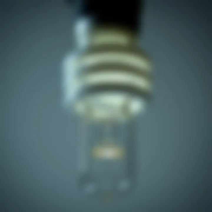 Close-up view of a compact fluorescent lamp demonstrating its design