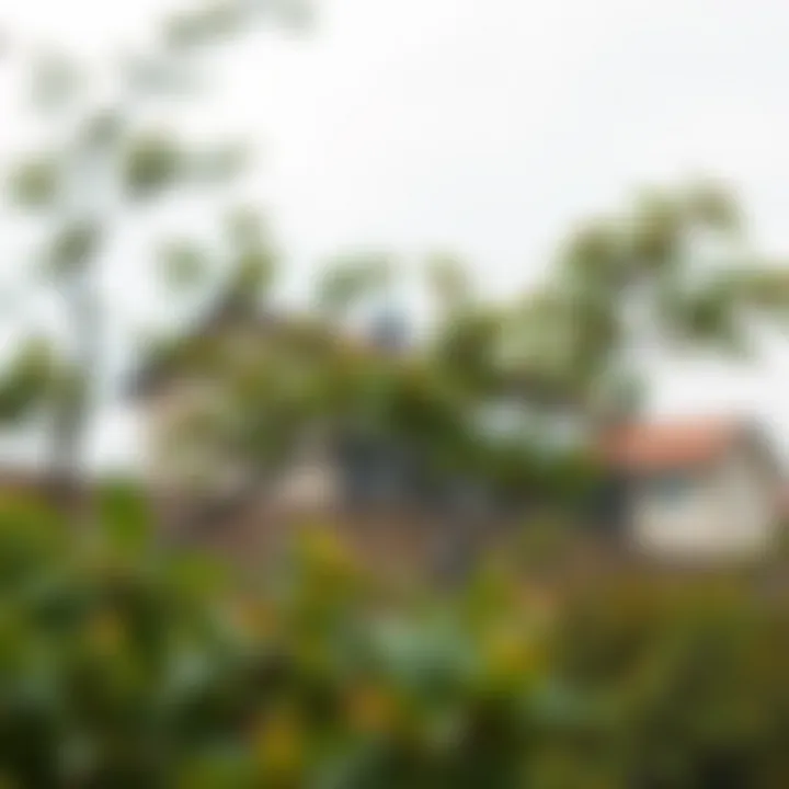 Understanding environmental factors affecting tree watering