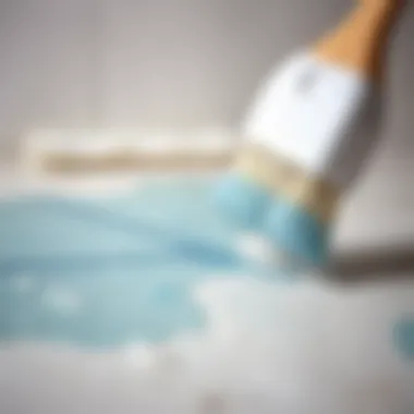 Detail of a scrub brush and cleaning solution targeting a stubborn stain