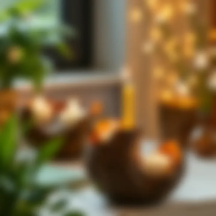 Unique candle holders crafted from natural elements