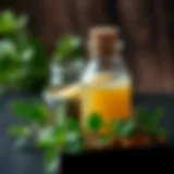 Natural ingredients for odor removal