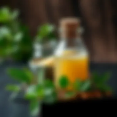 Natural Ingredients for Odor Removal Natural ingredients for odor removal