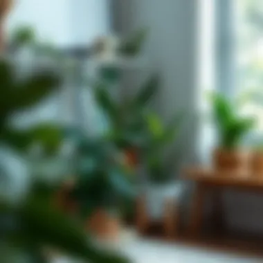 Indoor setting featuring green leafy plants enhancing the decor