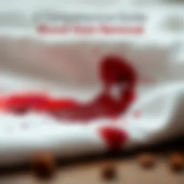 A detailed guide on removing blood stains