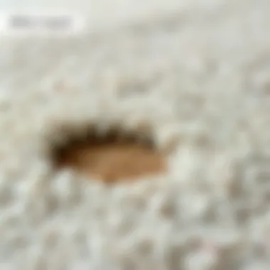 A before and after image of a repaired carpet burn