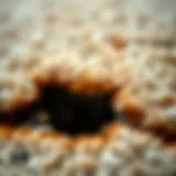 A close-up of a carpet burn showing damage and texture