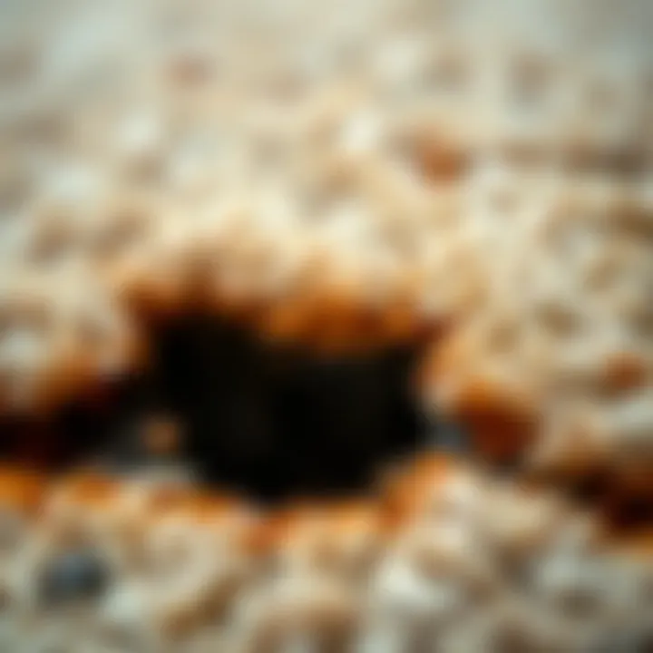 A close-up of a carpet burn showing damage and texture