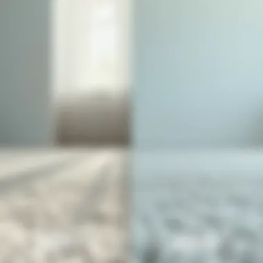 Before and after cleaning comparison of a carpet