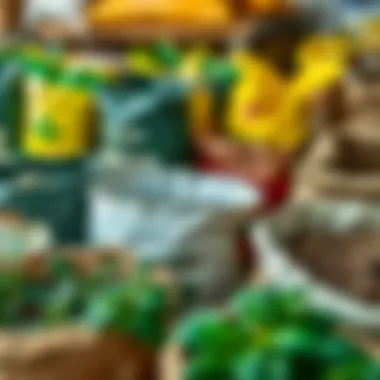 Organic Fertilizers A variety of organic fertilizers displayed in bags