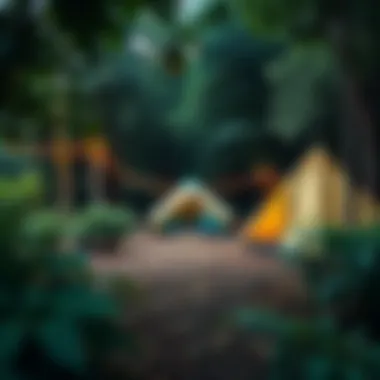 A serene camping site surrounded by lush greenery near Istanbul