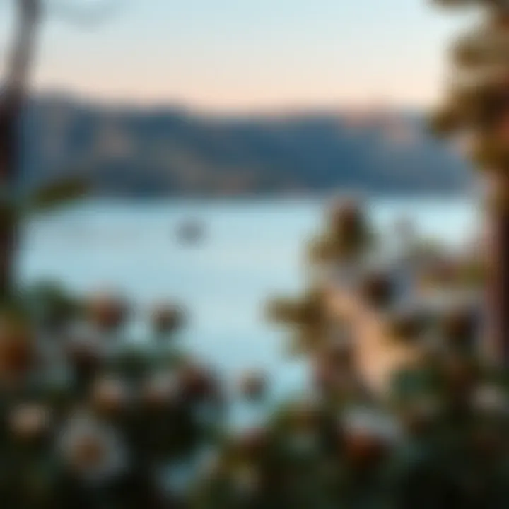 A picturesque view of a tranquil lake ideal for camping