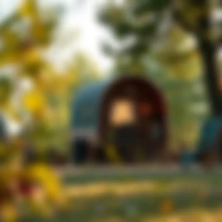 A cozy kaftan caravan nestled in nature