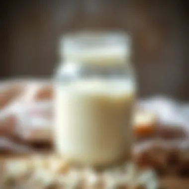 Kefir Grains in Milk A jar of kefir grains immersed in milk