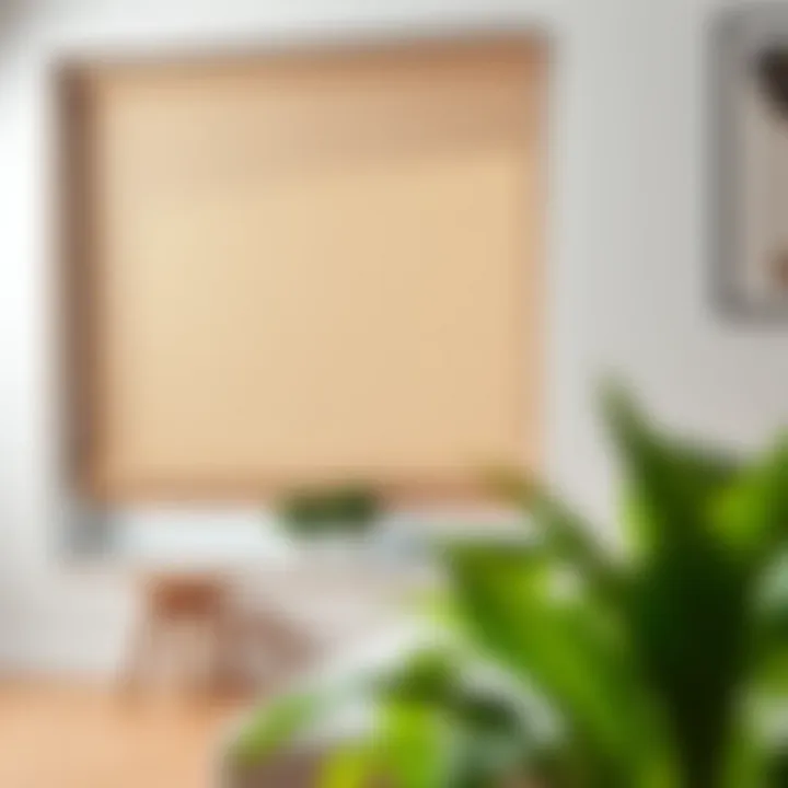 Measuring window dimensions for roller blinds