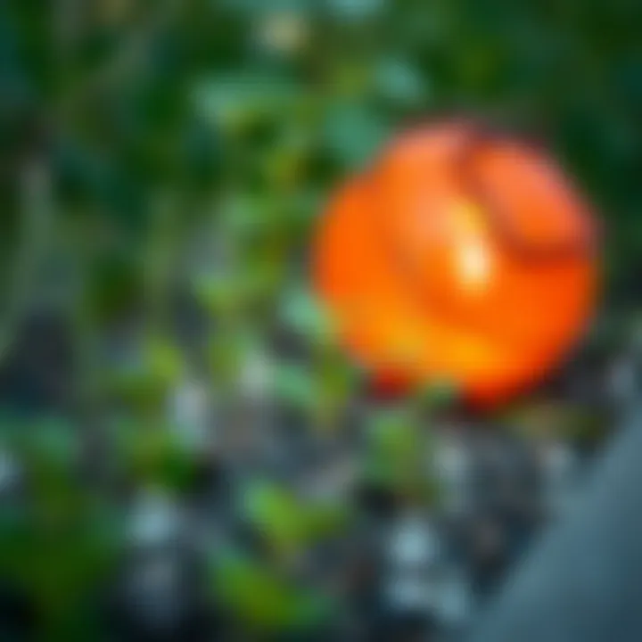 Cost analysis and planning for kis soil based projects.