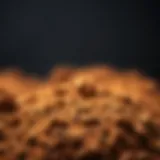 An overview of kis soil showcasing its rich texture and color.