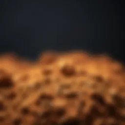 An overview of kis soil showcasing its rich texture and color.