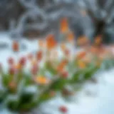 Vibrant winter plants thriving in a snowy landscape
