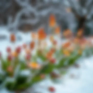 Vibrant winter plants thriving in a snowy landscape