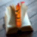 Artistic bookmarks showcasing unique designs