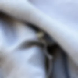 Close-up of fabric showing pilling texture