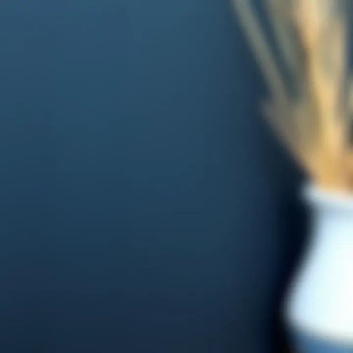 A detailed view of a textured dark blue surface