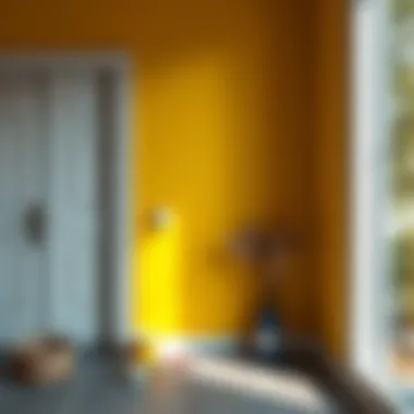 Maintenance tips for dark yellow wall paint