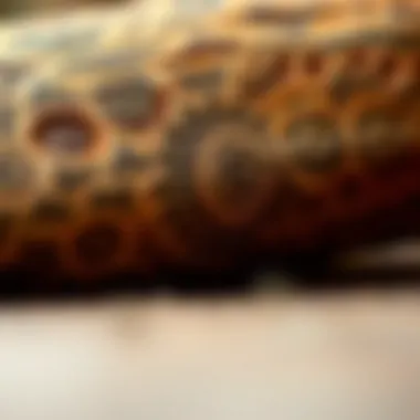 A close-up of artistic patterns on a log